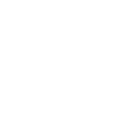 The Hague Short Stay